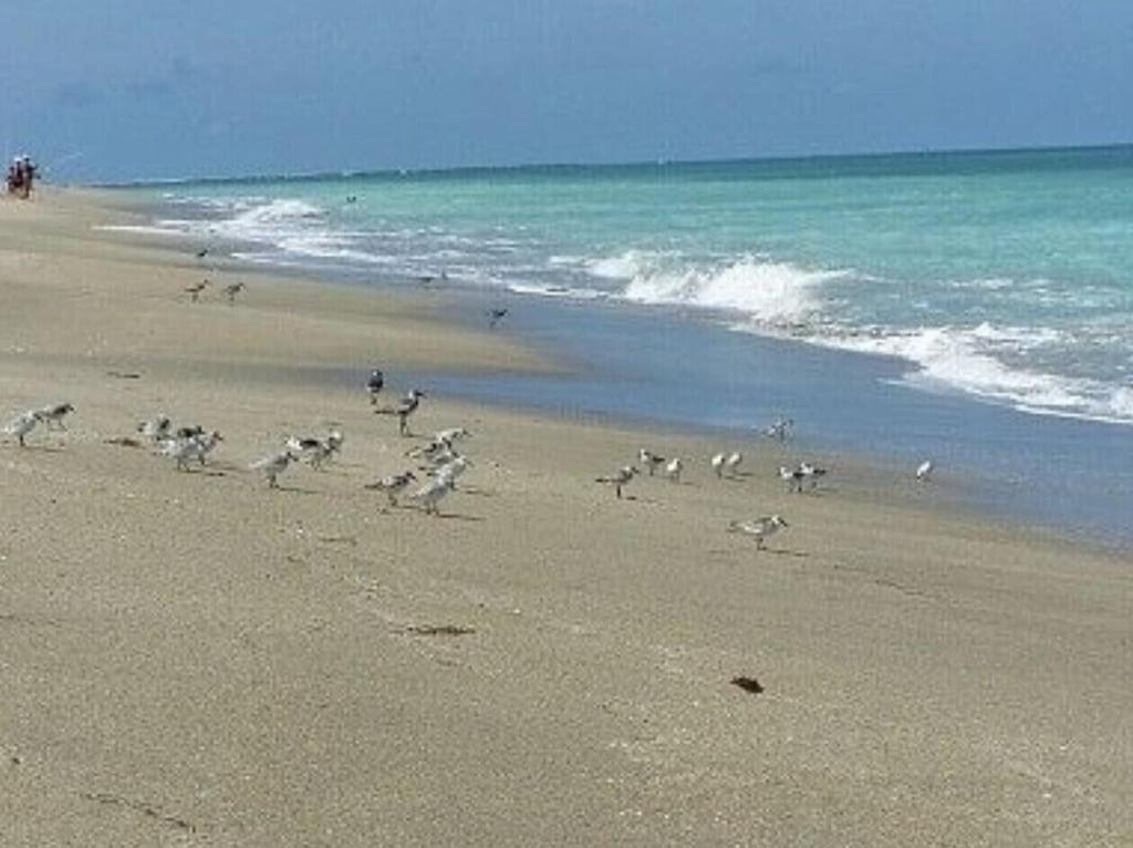 Excellent Beach Front Community, Golf Course, Tennis, Sunny Weather Year Round! فورت بييرس المظهر الخارجي الصورة